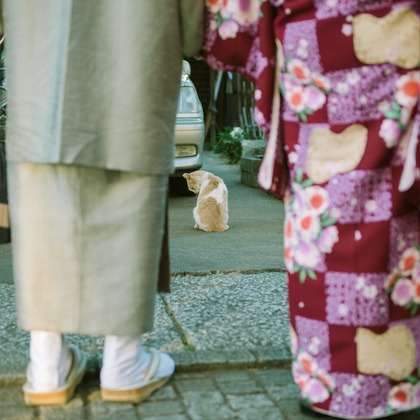 ユウコン　フォトグラフィーが撮影した「:albumName」の写真