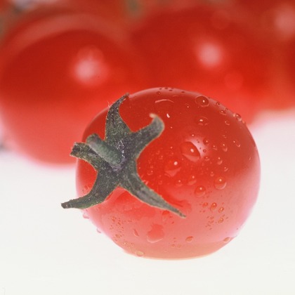 Photo BASEが撮影した「:albumName」の写真