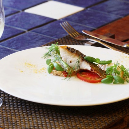 森安　照が撮影したウェディングや家族、ビジネスの写真