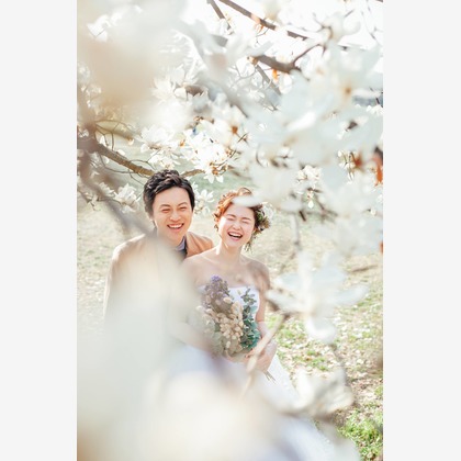 Rocographyが撮影した「:albumName」の写真