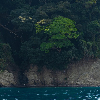 沖山俊樹が撮影したその他の写真