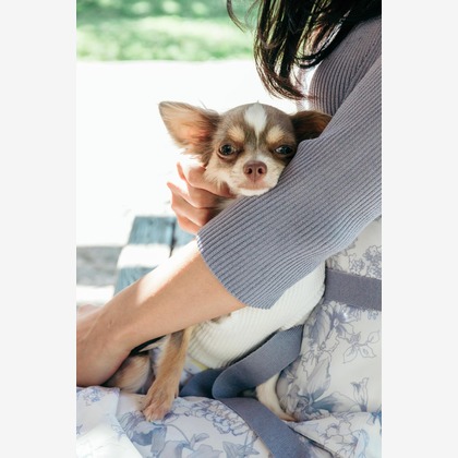 ポートレート沖縄が撮影した「:albumName」の写真