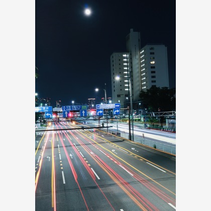 Takeuchi Shunsukeが撮影したその他の写真