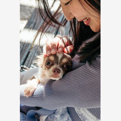 ポートレート沖縄が撮影した「:albumName」の写真