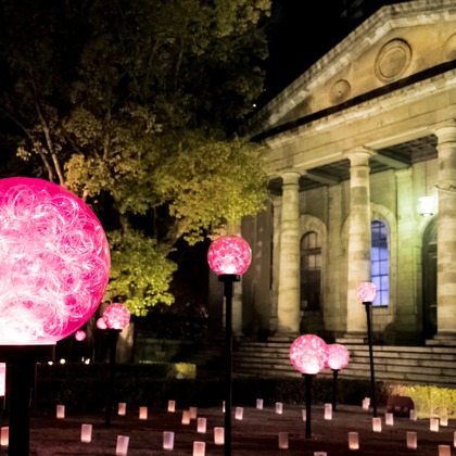 フォトスタジオ　ちっくたっくが撮影したその他の写真