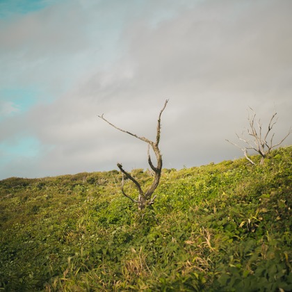 三橋宣貴が出張撮影した黒島出発点, シェード, レンズフレアなどが写った「神津島旅行の思い出」の家族写真