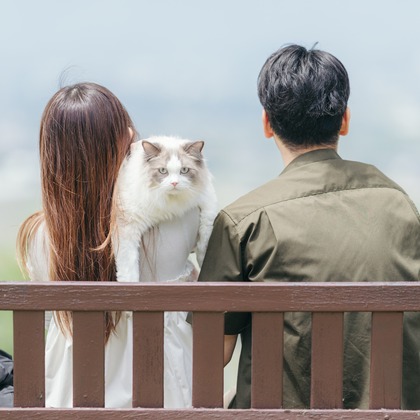 光画堂スタジオが撮影したウェディングや家族、ビジネスの写真