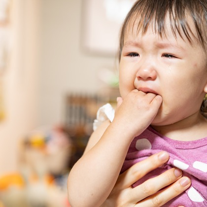 曽川拓哉が撮影した家族写真の出張撮影の写真