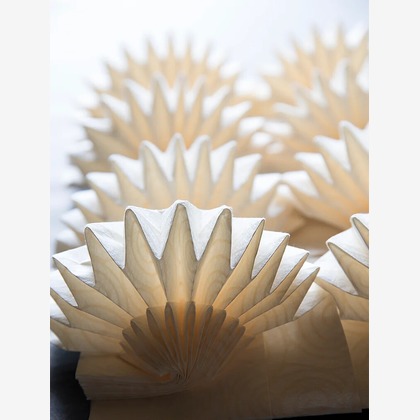 白井由香里写真事務所が撮影した「:albumName」の写真