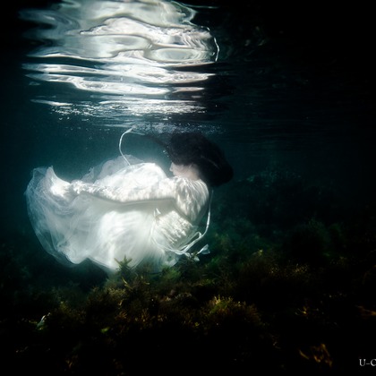 U-CONCENT (香川裕貴)が撮影したウェディングや家族、ビジネスの写真