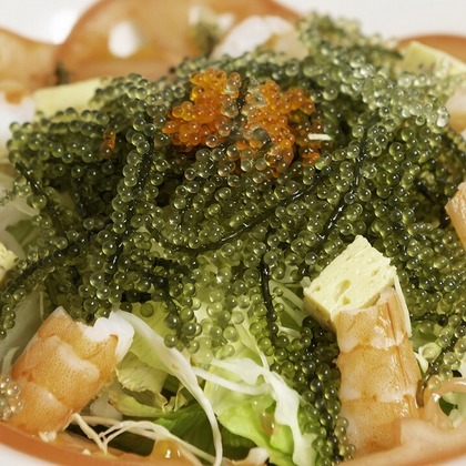 エンリッチ フォトグラフィーが撮影した「:albumName」の写真