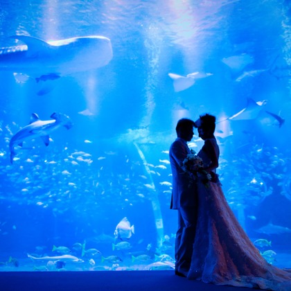 Photo Jellishが撮影したウェディングや家族、ビジネスの写真