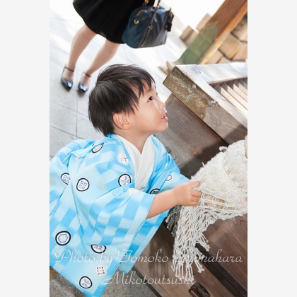 Tomoko Shimaharaが撮影した「:albumName」の写真