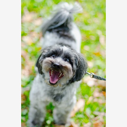 One&Only Photoが撮影したその他の写真