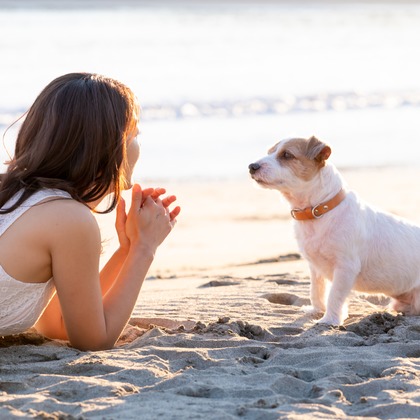 Peace-full photoが撮影した「ペット撮影」の写真