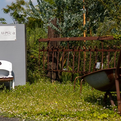 ミヤタカズコが撮影した「:albumName」の写真