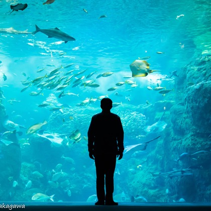 中川彩乃が撮影したイベント/スナップ撮影/人物撮影の写真