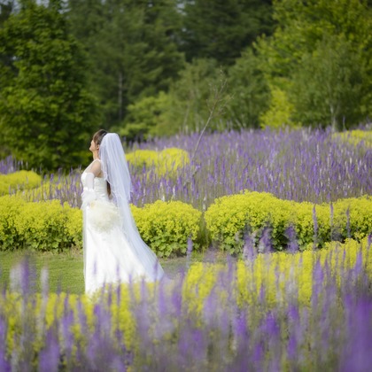 Photo of :albumName taken by C.RELATIONS