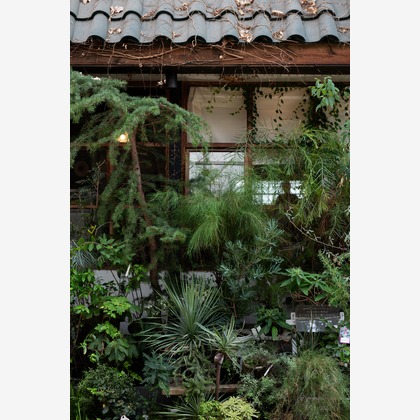 studio aluc ~スタジオ アルク~が撮影した「:albumName」の写真