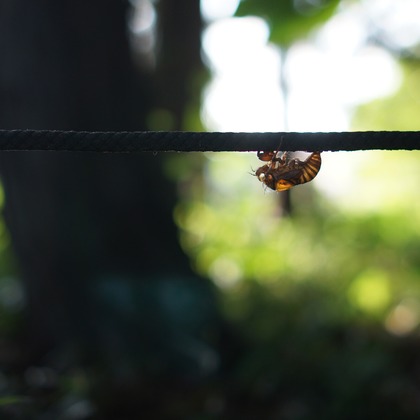 出張撮影のメモリーズが撮影した「:albumName」の写真