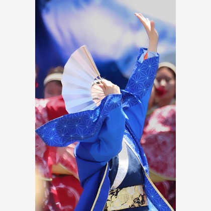 ひときわphotoが撮影した「:albumName」の写真