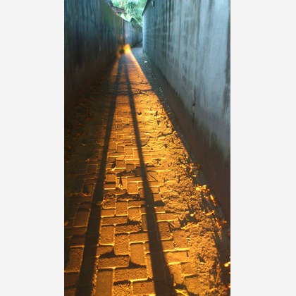 マニス ウェディングが撮影した「:albumName」の写真