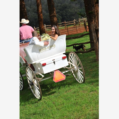 今林 浩一が撮影した「:albumName」の写真