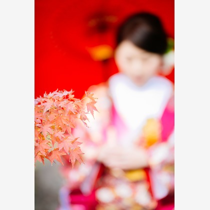 Tomi Photo Studioが撮影したウェディングや家族、ビジネスの写真