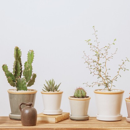 Yoppegraphy Photographic Serviceが撮影した「:albumName」の写真