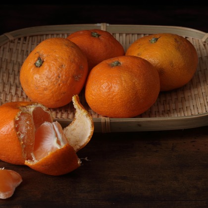 イトウ　ノブミチが撮影した店舗/オフィス/サロン撮影/イベント/スナップ撮影/料理撮影/商品/物撮り/不動産/竣工の写真