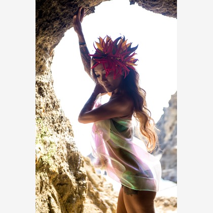 FRANK SAKAKIBARAが撮影した「:albumName」の写真