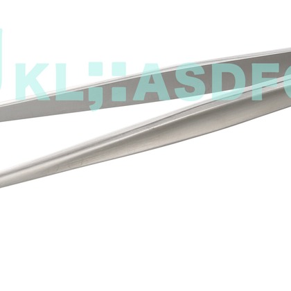 西原毅が撮影した「:albumName」の写真