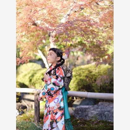 藤原和彦が撮影した「:albumName」の写真