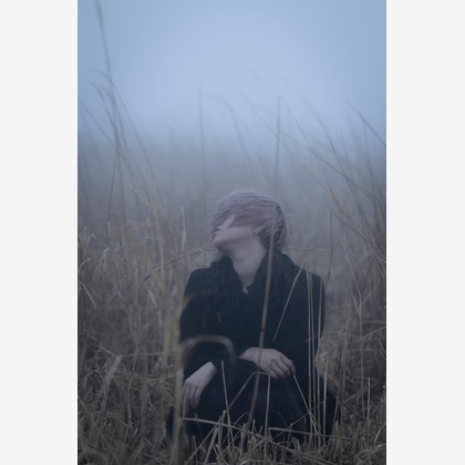 ならもとかずやが撮影した「:albumName」の写真