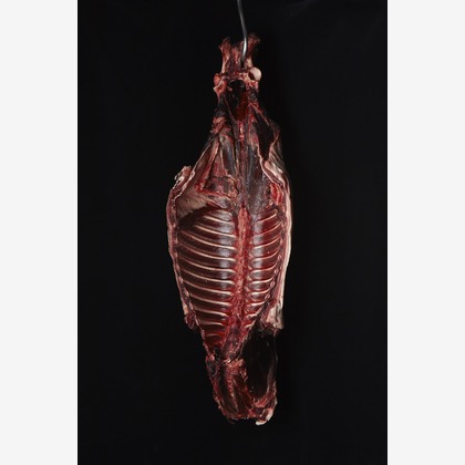 bluevalleyが撮影した料理撮影の写真