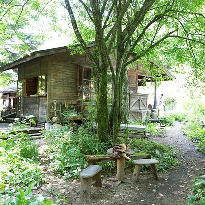 白井由香里写真事務所が撮影したその他の写真