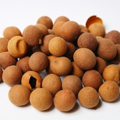 岩松修が撮影した「:albumName」の写真