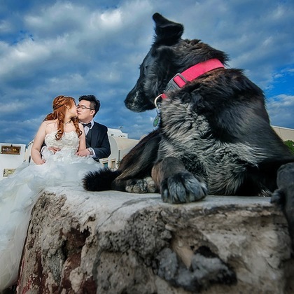 Photo of :albumName taken by 2 of us photography