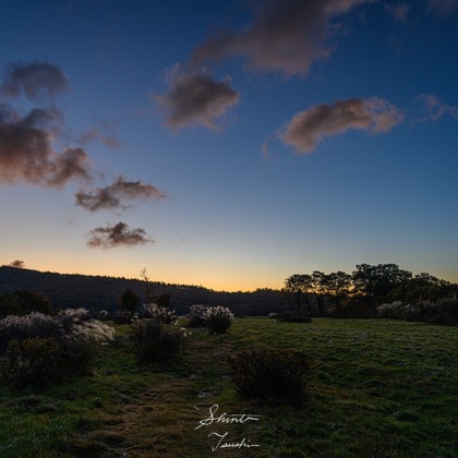 Shintaro Tsushimaが撮影した店舗/オフィス/サロン撮影の写真