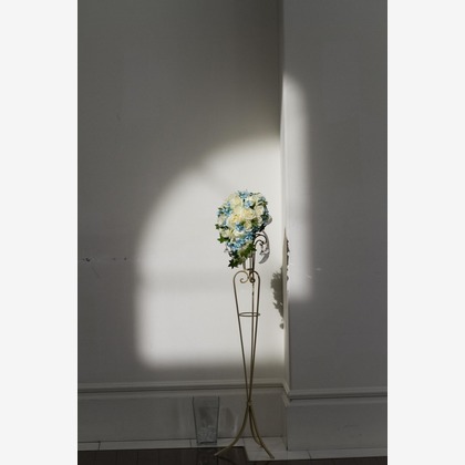 Happy Life Photo works (羽根田写真事務所)が撮影したウェディングや家族、ビジネスの写真