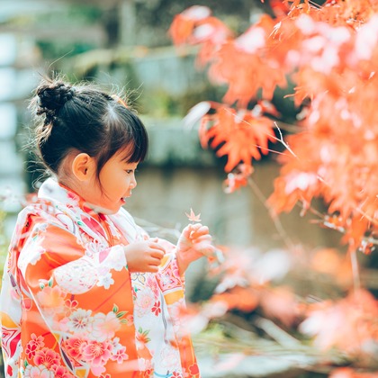 宮川　斉記が撮影した「:albumName」の写真