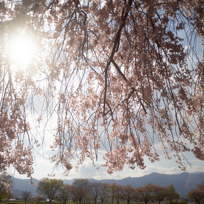 手塚隆弘が撮影したイベント/スナップ撮影の写真