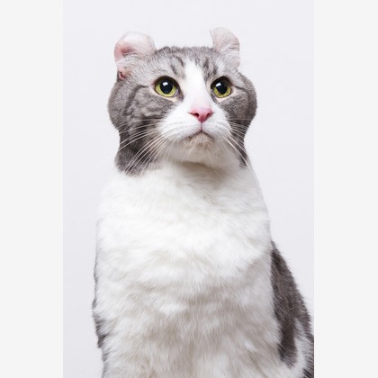 森田寫眞館が撮影した「:albumName」の写真