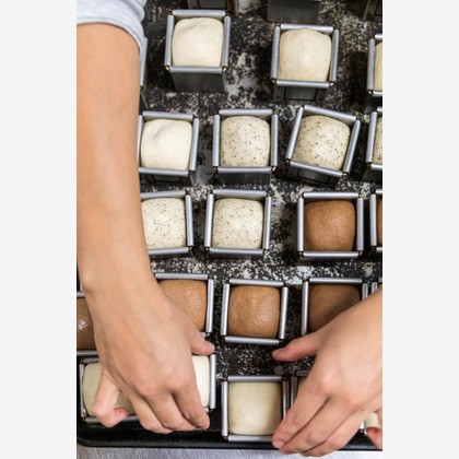 光画堂スタジオが撮影したウェディングや家族、ビジネスの写真