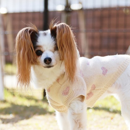 外川博己が撮影したその他の写真