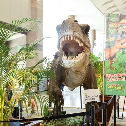 なかがわさとみが撮影した「:albumName」の写真