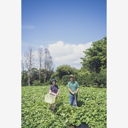 笠井鉄正写真事務所が撮影した「:albumName」の写真