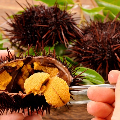 ワンツーBフォトが撮影した「:albumName」の写真