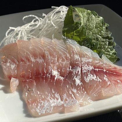 スタジオエゴイストが撮影した「:albumName」の写真