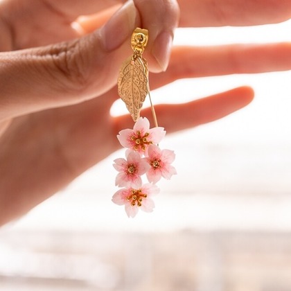 木村写真館が撮影した商品/物撮りの写真